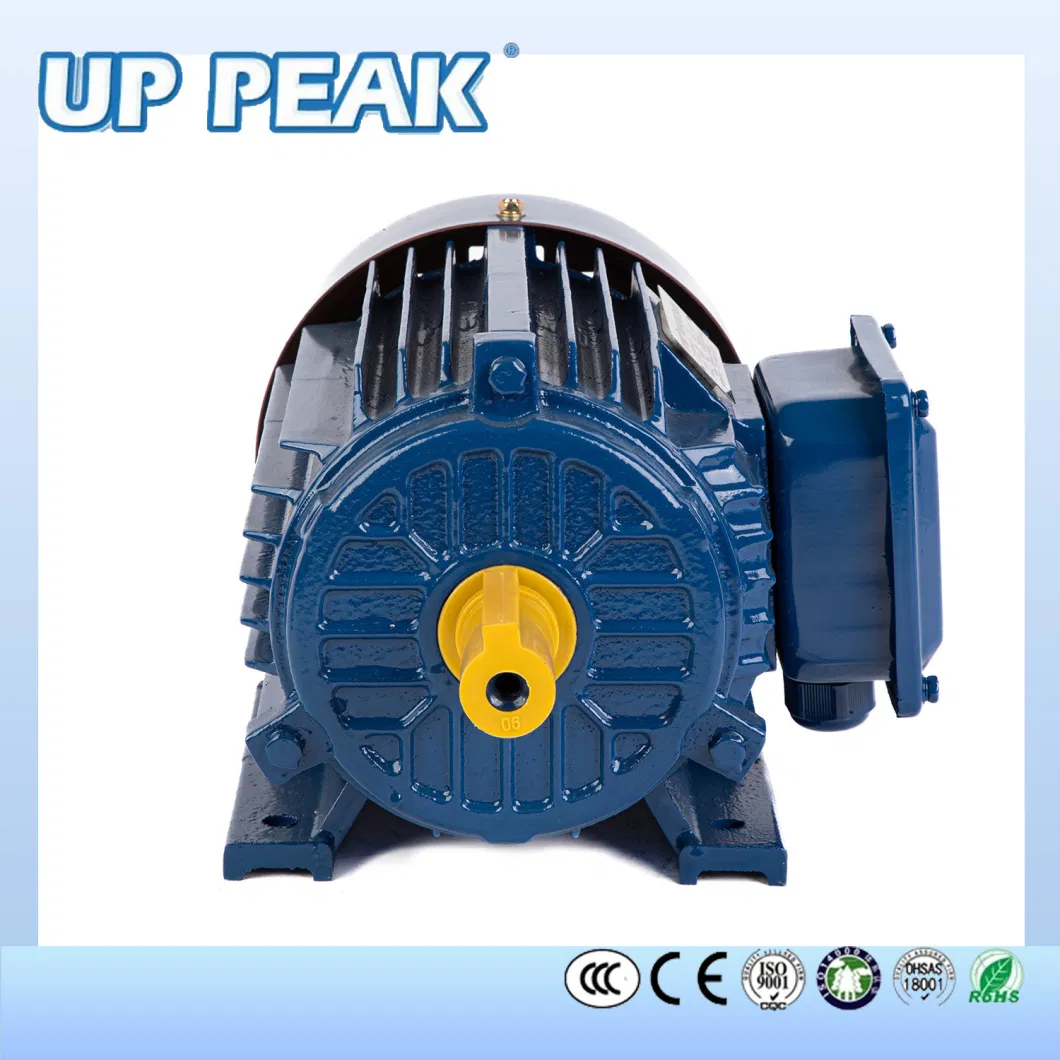 Ie3 Series 0.75-315kw Three-Phase Induction Water Pump Electrical Motor