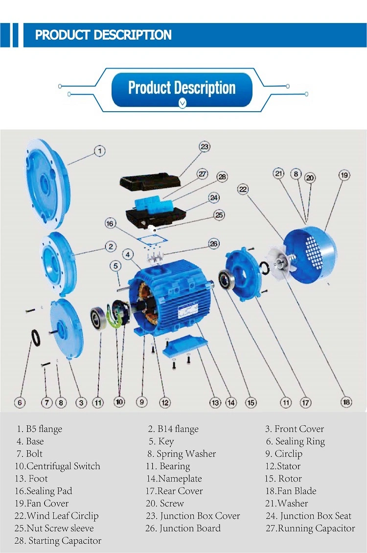 High Quality YE2 High Efficiency Three Phase Induction Motor